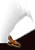 MAC_FooterRight_1