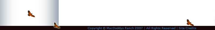 MacDaddys Ranch Copyright 2007 | All Rights Reserved