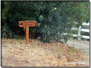 This Way to the Tennis Court